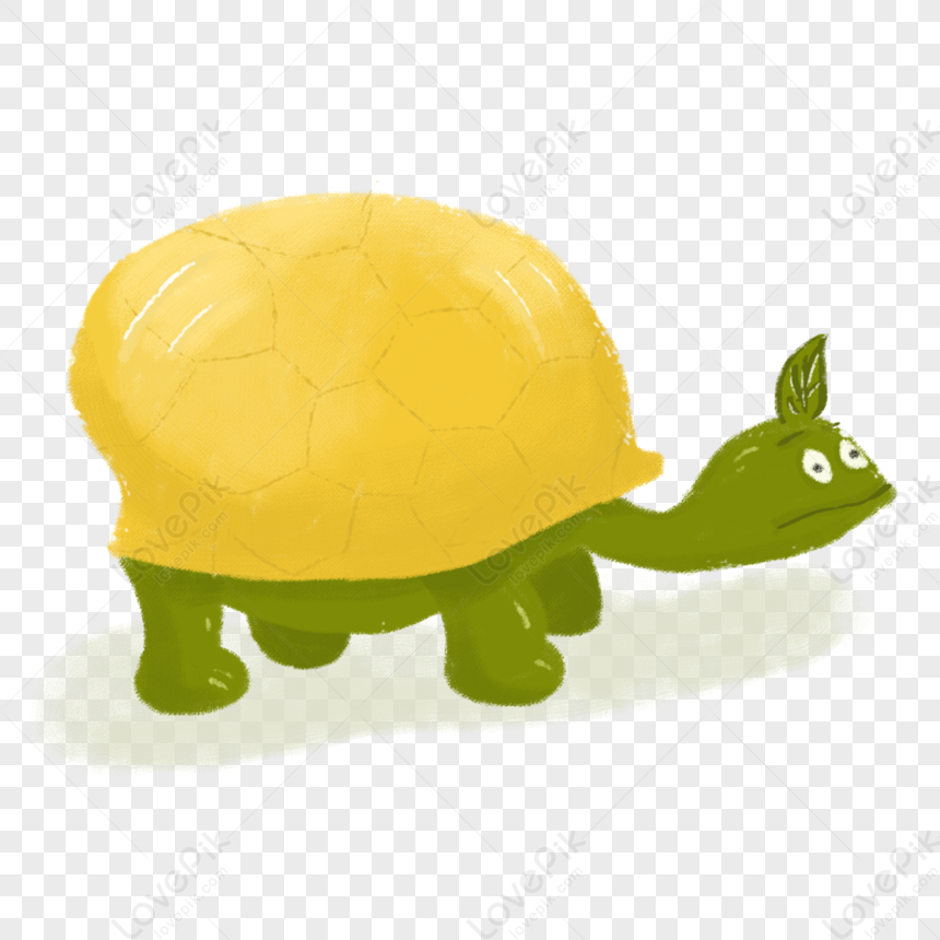 Hand Drawn Cartoon Turtle PNG Transparent Background And Clipart Image For  Free Download - Lovepik | 401431680