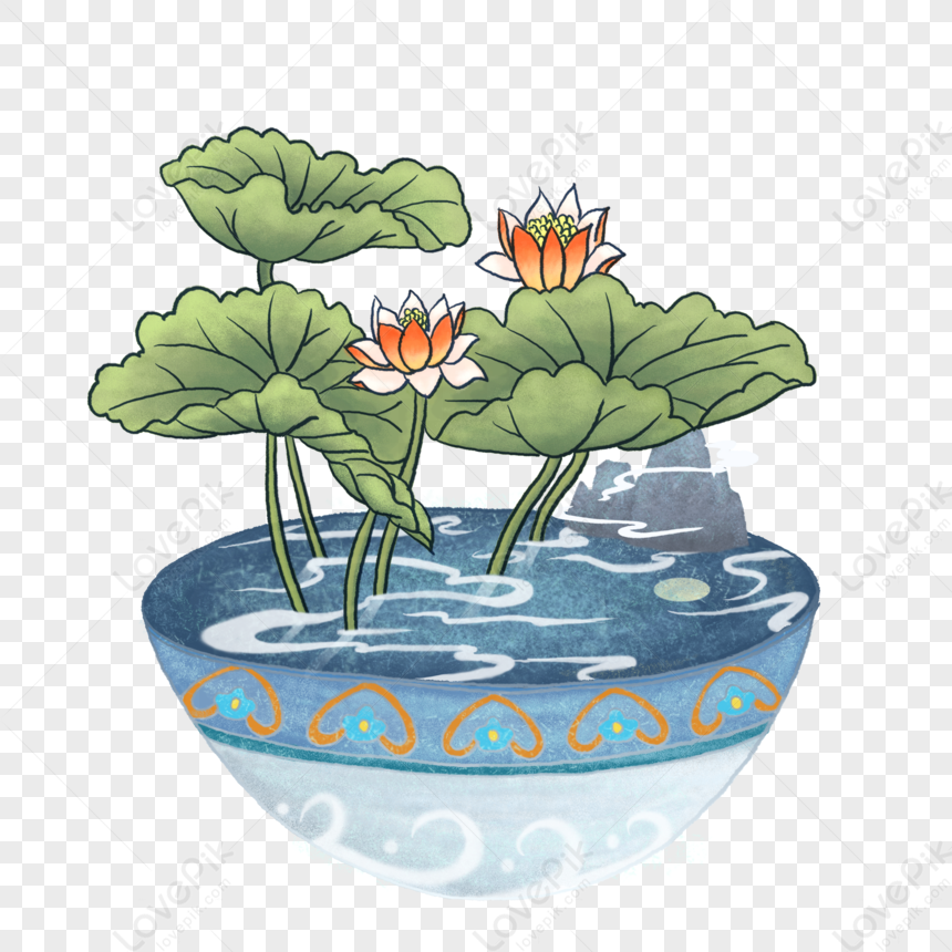 Lotus Leaf Of The Summer Solstice PNG Transparent And Clipart Image For ...