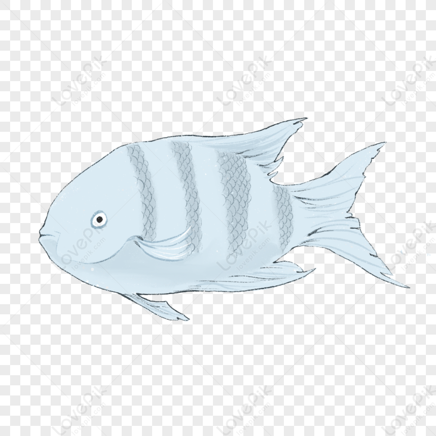 رسم سمكة مخططة