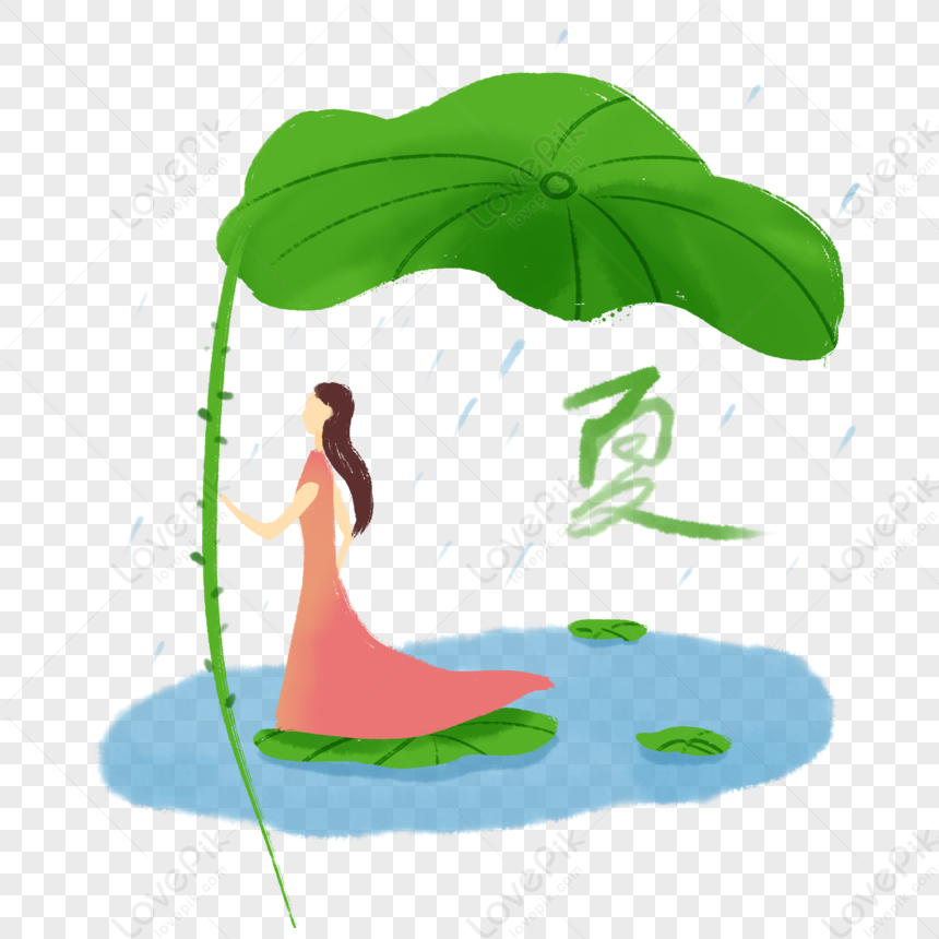 Summer Girl, Lotus Leaf, Shelter From The Rain, Rain, Lotus Girl, Rain ...