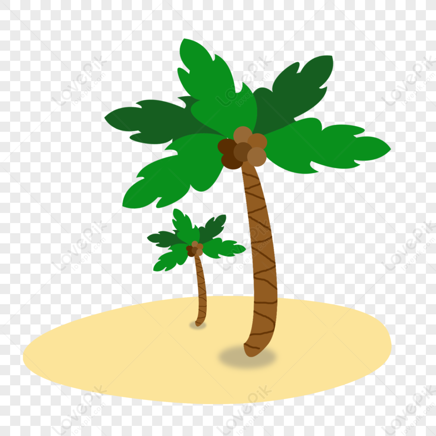 Beach Coco, Coconut Palm, Coco, Areia Branca Free PNG And Clipart Image ...