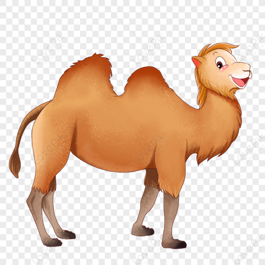 camels feet images clipart