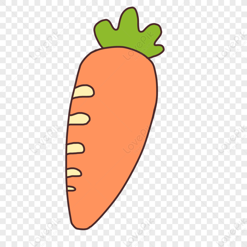 Carrot PNG Transparent Background And Clipart Image For Free Download -  Lovepik | 401479890