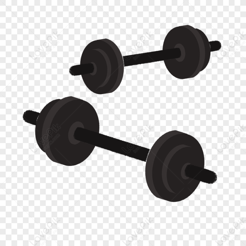 Cartoon Barbell PNG Image Free Download And Clipart Image For Free Download  - Lovepik | 401469871