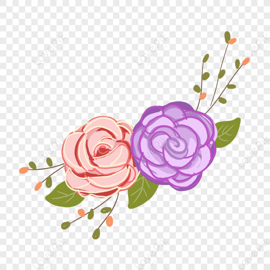 Coloridas Flores De Rosa PNG Imágenes Gratis - Lovepik