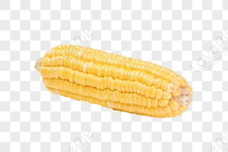 corn background design