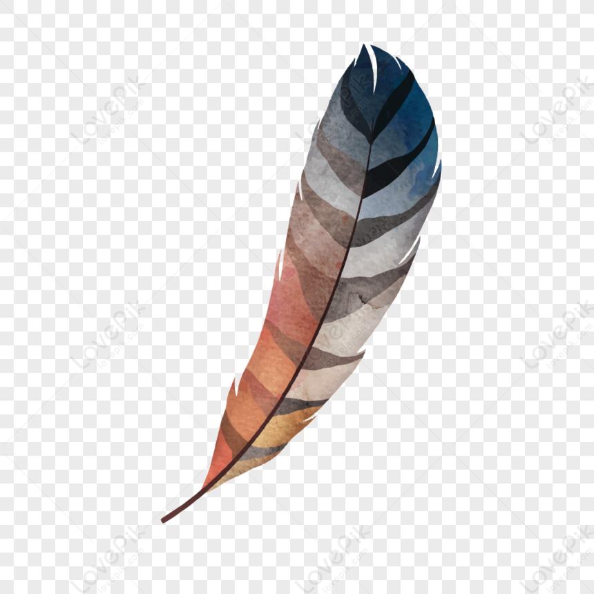 Feather Vector Material, Native American Feather, Material, Icon PNG ...