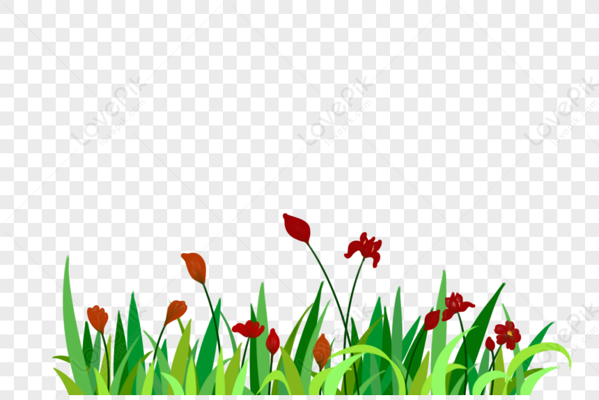 Grass And Grass PNG Transparent Background And Clipart Image For Free  Download - Lovepik | 401477440