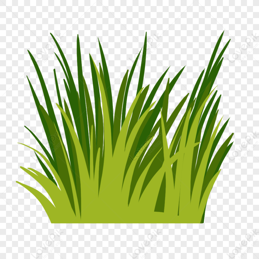 Grass PNG Hd Transparent Image And Clipart Image For Free Download -  Lovepik | 401472824