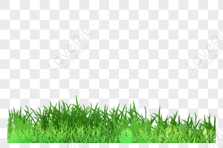 Yellow Grass PNG Images With Transparent Background | Free Download On  Lovepik