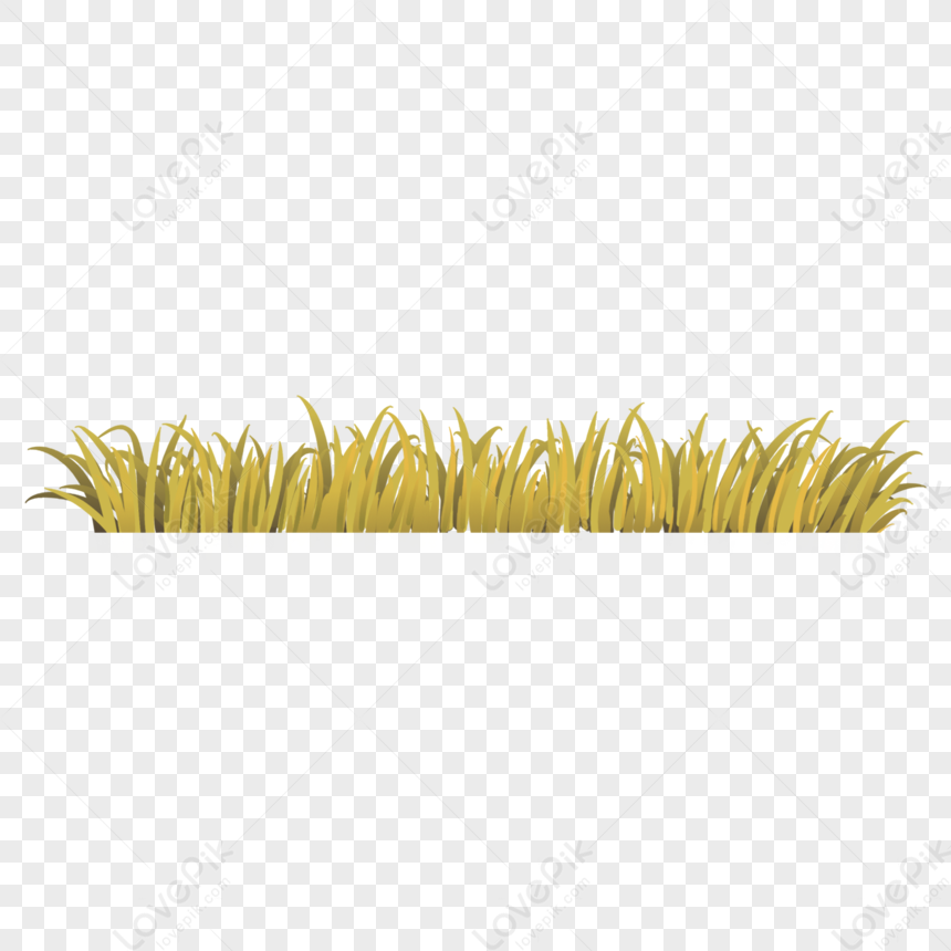 Grass Yellow Grass Grass PNG Transparent Background And Clipart Image For  Free Download - Lovepik | 401444210