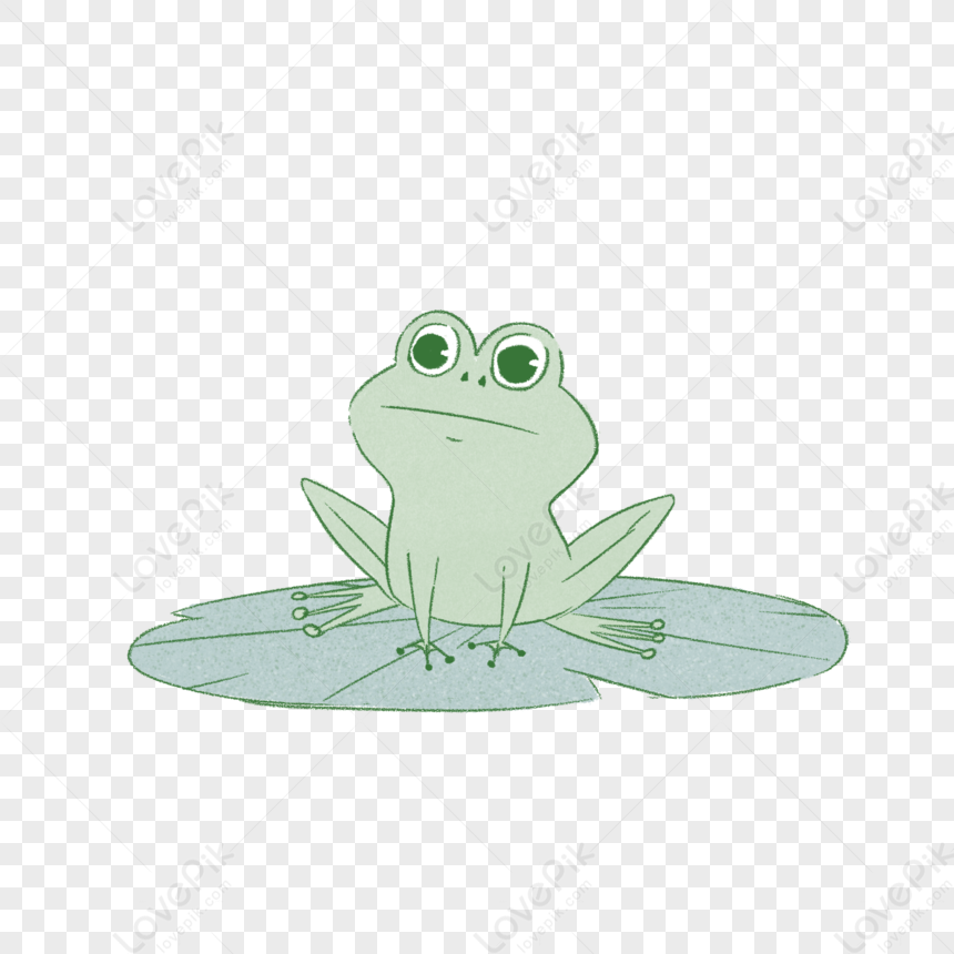 Little Frog Cartoon Image PNG Image And Clipart Image For Free Download -  Lovepik | 401484328