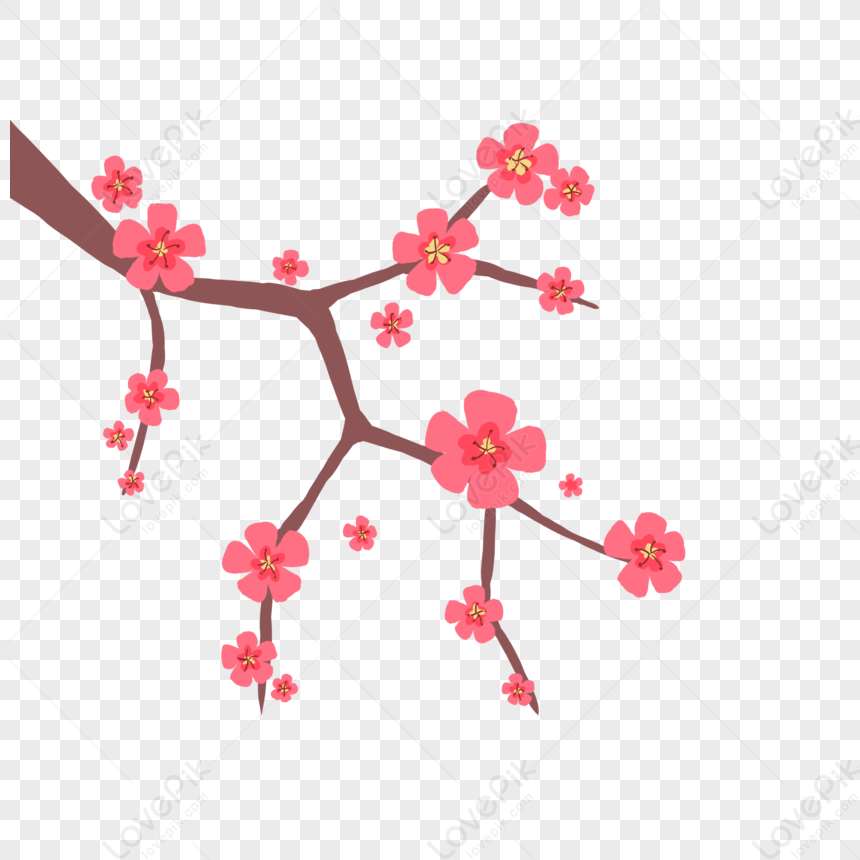 Peach Blossom, Peach Blossom, Flowers, Plants PNG Picture And Clipart ...