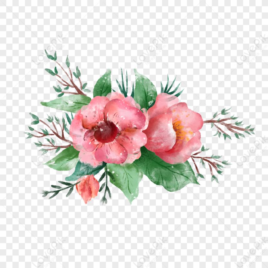Acuarela Flores Rojas De Verano PNG Imágenes Gratis - Lovepik
