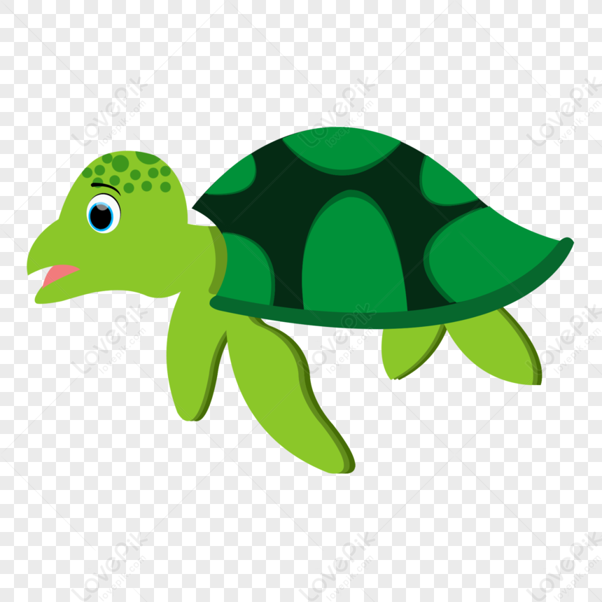 Turtle PNG White Transparent And Clipart Image For Free Download ...