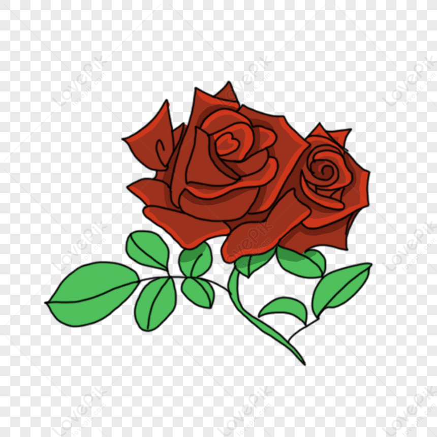 Dos Rosas Rojas PNG Imágenes Gratis - Lovepik