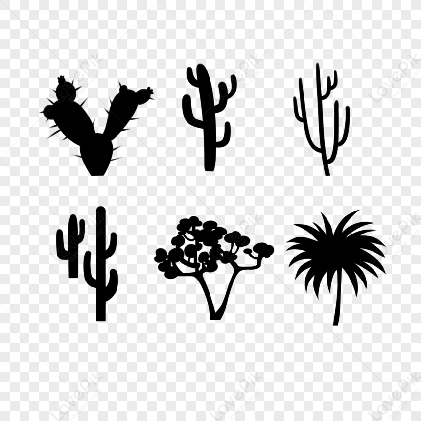 Rounded Cactus PNG, Vector, PSD, and Clipart With Transparent