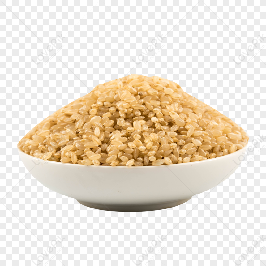 brown rice clip art