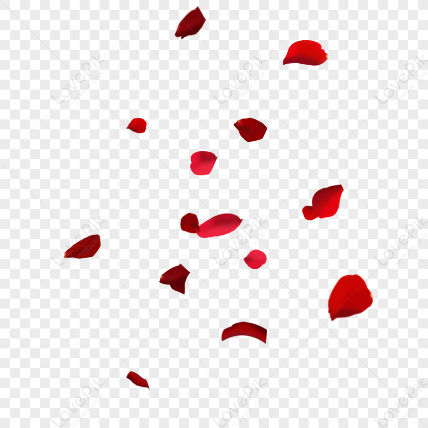 Rose Petal PNG Free Download And Clipart Image For Free Download ...