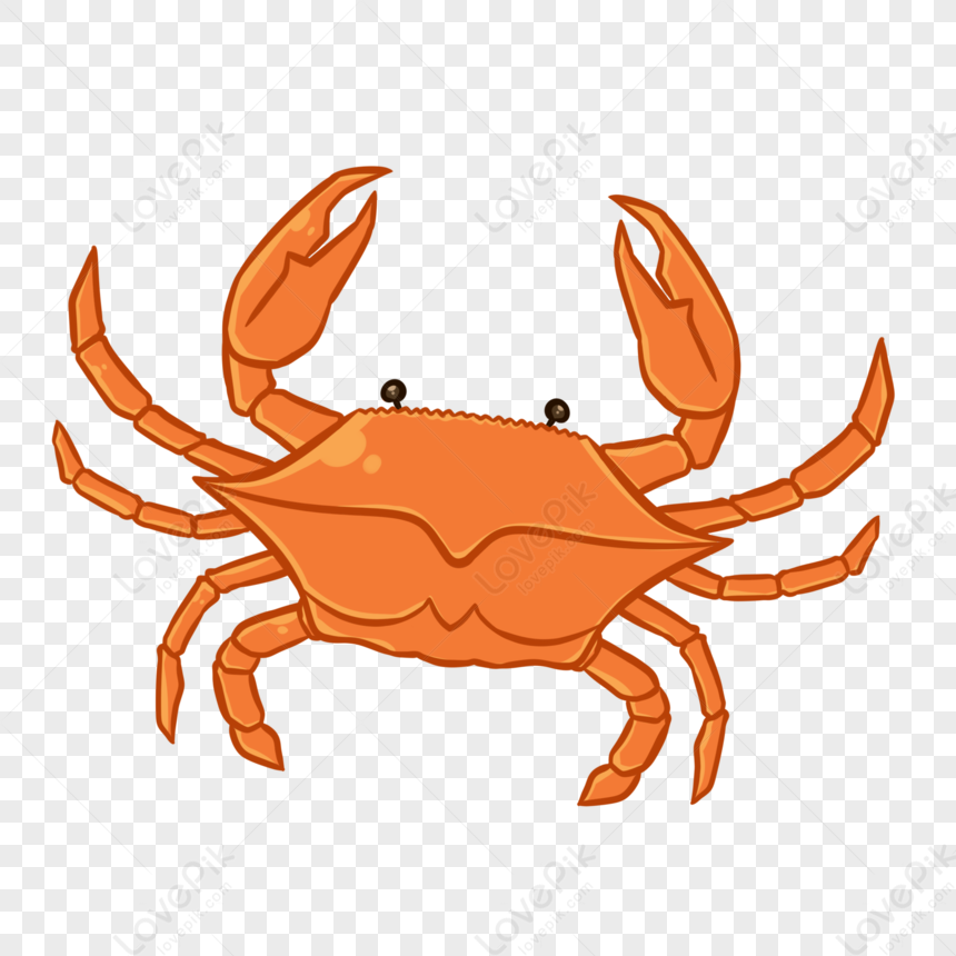 Steamed Crab PNG White Transparent And Clipart Image For Free Download ...