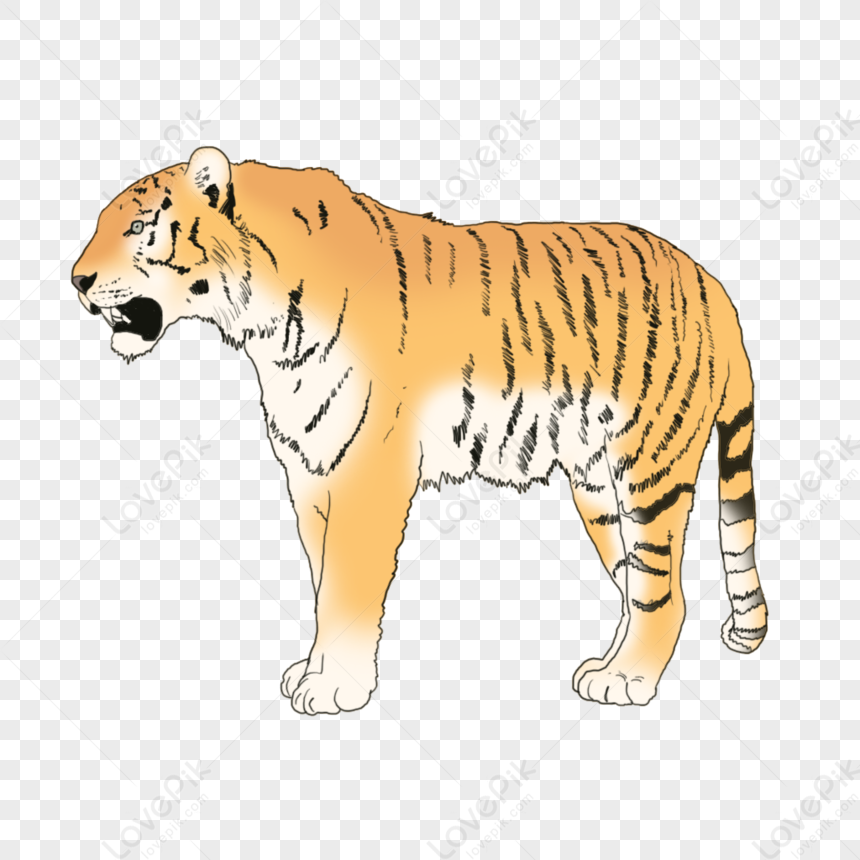 Tiger PNG Image Free Download And Clipart Image For Free Download ...