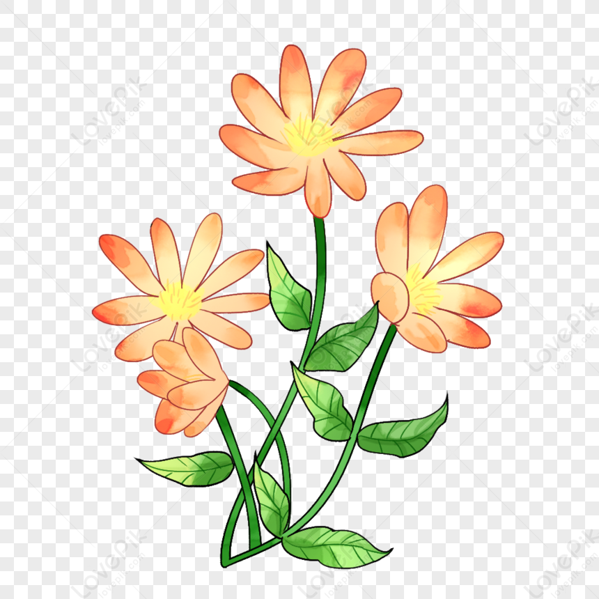 Watercolor Orange Flower PNG Transparent Image And Clipart Image For Free  Download - Lovepik | 401491447