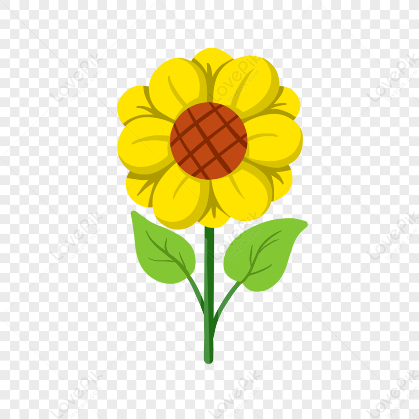 A Sunflower, Bloom, Plant, Sunflower PNG Transparent Background And ...