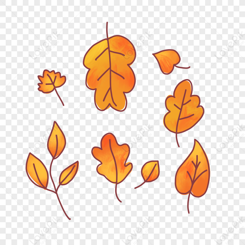Doodle line drawing vector simple maple autumn leaf. Fall hand drawn  botanical sketch. Modern minimalist art. For poster, web design 11958699  Vector Art at Vecteezy