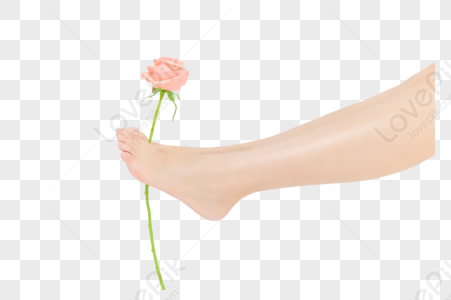 Beautiful Feet PNG Images With Transparent Background | Free Download On  Lovepik