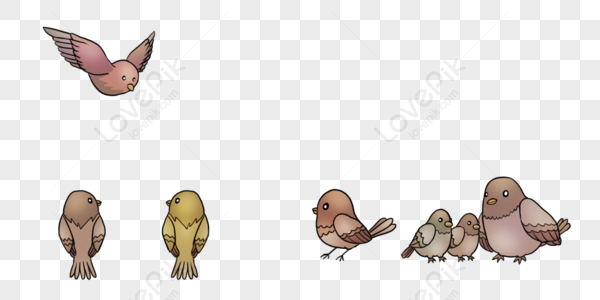 Birds PNG Images With Transparent Background | Free Download On Lovepik