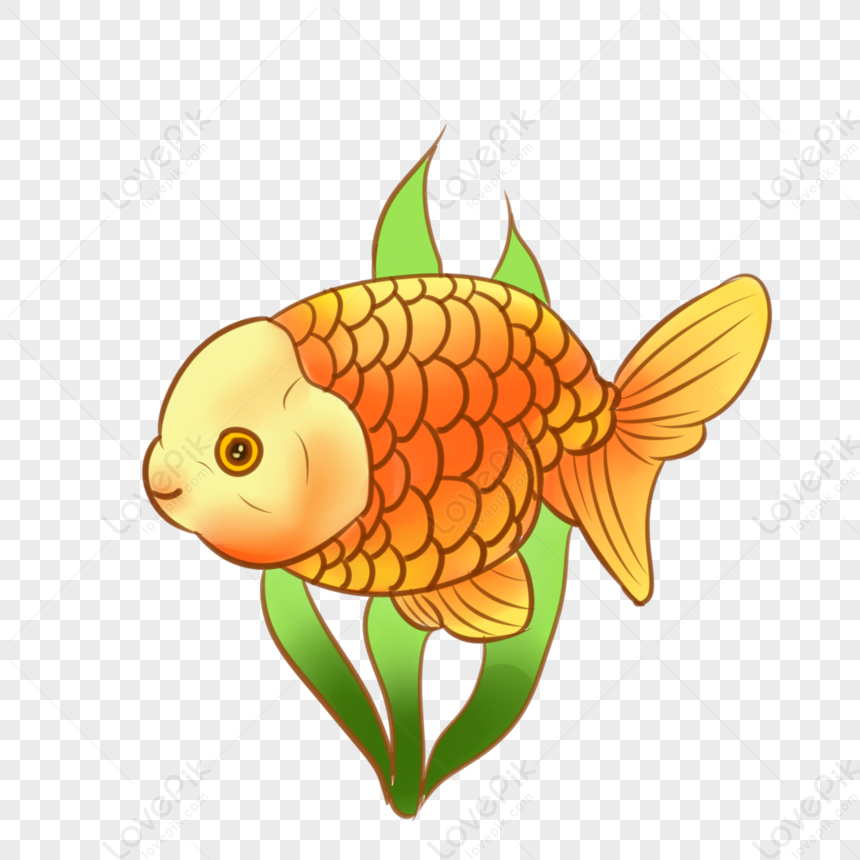 Cartoon Fish PNG Transparent Image And Clipart Image For Free Download -  Lovepik | 401544167