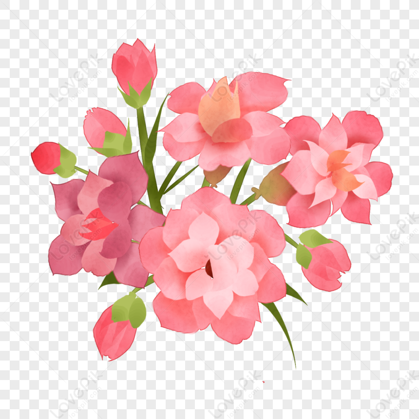 Pink Flower Cartoon png download - 2400*2400 - Free Transparent
