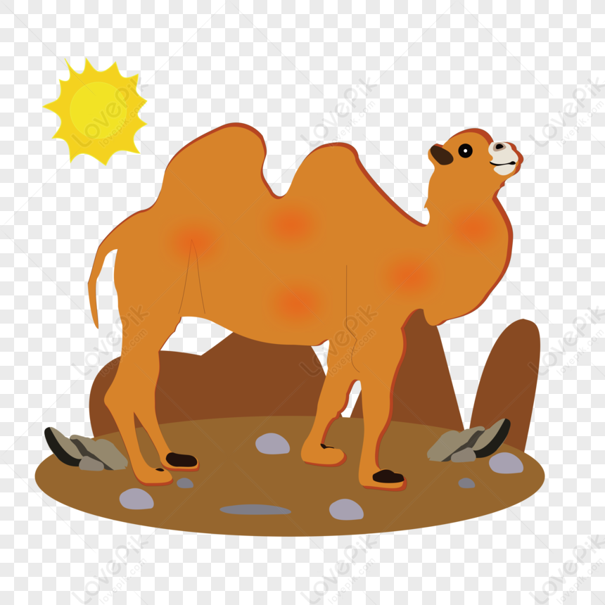 Desert Animals Images, HD Pictures For Free Vectors & PSD Download -  