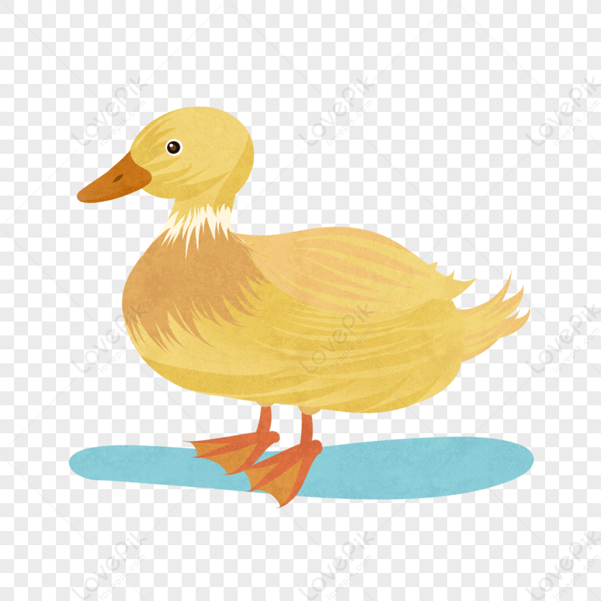 duck with sunglasses clipart png