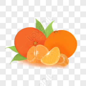 Orange Cartoon PNG Images With Transparent Background | Free Download On  Lovepik