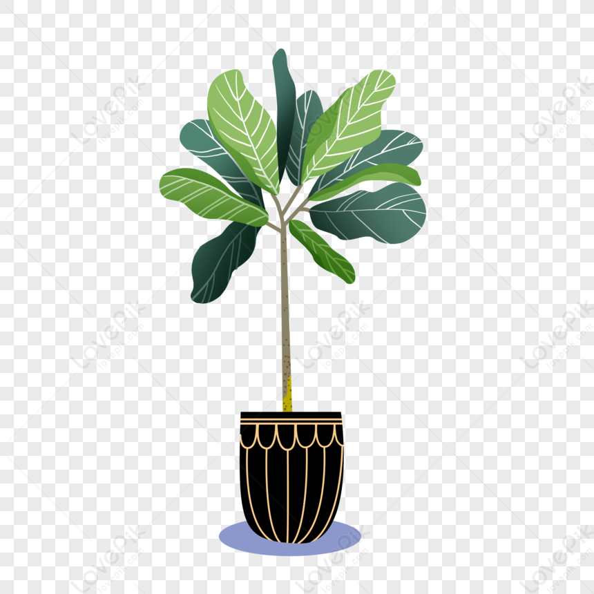 Green Plant Bonsai Green Plant Plant Bonsai PNG Image Free Download And Clipart Image For