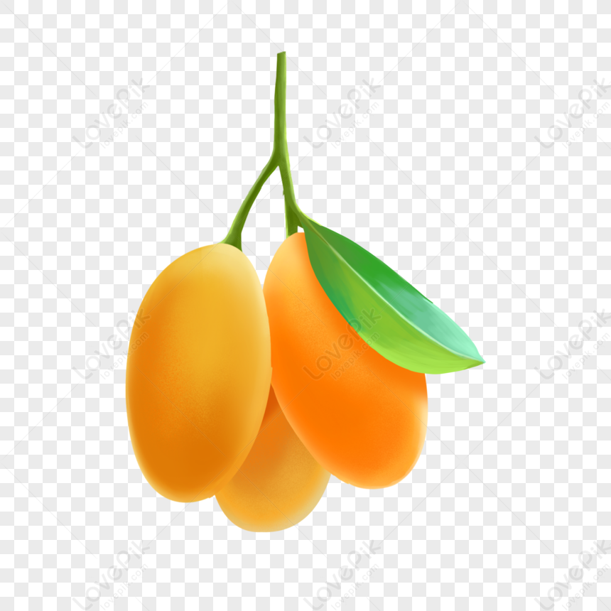 Hand Drawn Cartoon Mango PNG Transparent Background And Clipart Image For  Free Download - Lovepik | 401568930