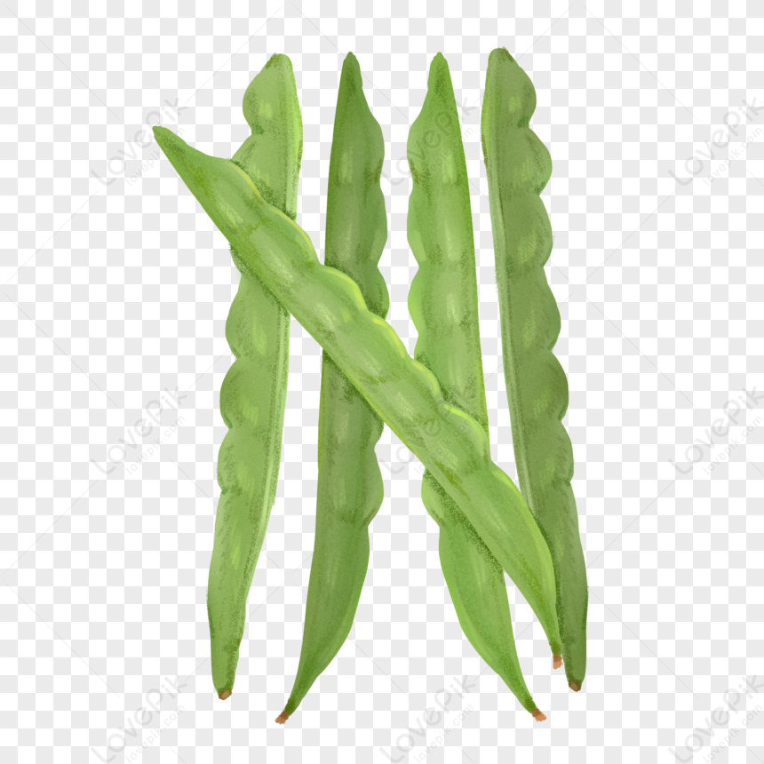 Hand Drawn Vegetable Green Beans PNG Transparent Image And Clipart Image  For Free Download - Lovepik | 401557257