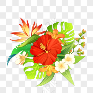 Flower PNG Images With Transparent Background | Free Download On Lovepik