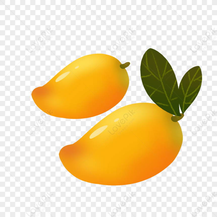 Mango PNG Hd Transparent Image And Clipart Image For Free Download ...