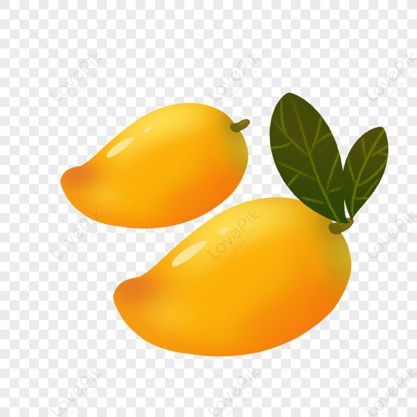 Mango Background Images, HD Pictures For Free Vectors & PSD Download -  