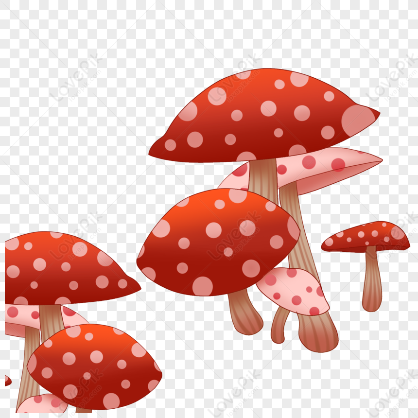 Mushroom, Colored Mushrooms, Mushroom Clipart, Fungi PNG Transparent ...