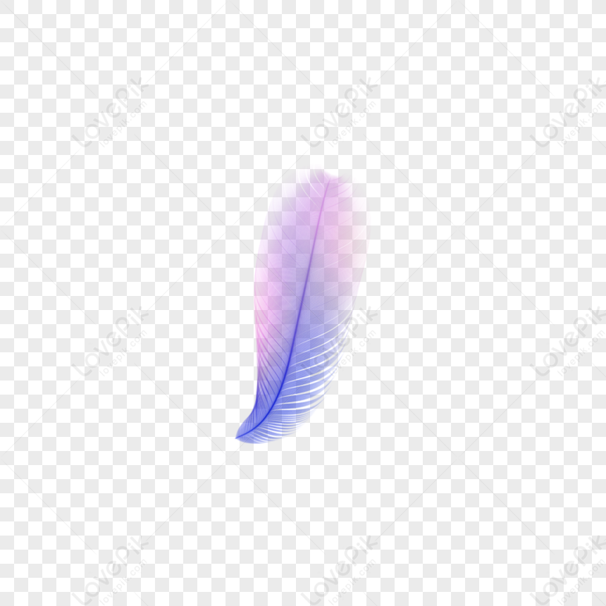 Neat Pink Purple Feathers Png Hd Transparent Image And Clipart Image For Free Download Lovepik