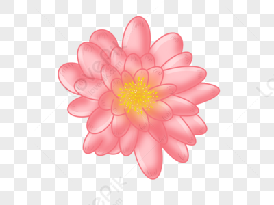 Pink Flowers PNG Images With Transparent Background | Free Download On  Lovepik