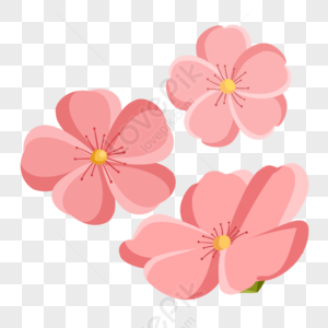 Pink Flower PNG Images With Transparent Background | Free Download On ...