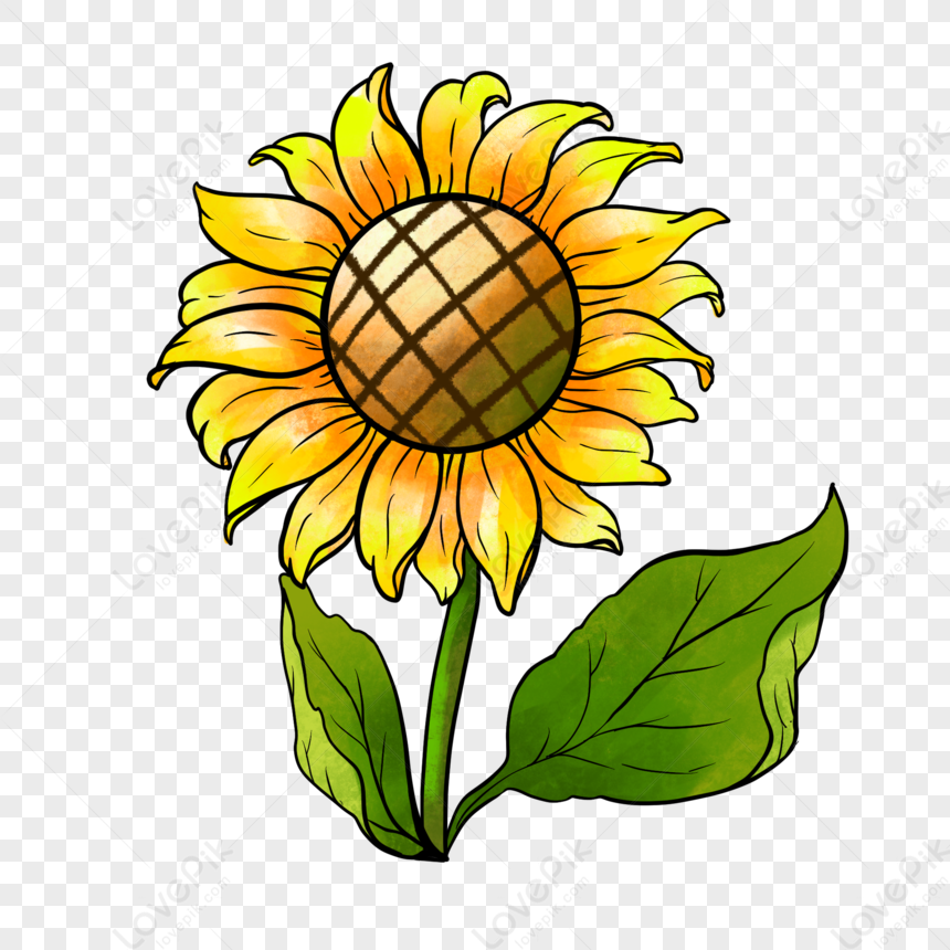 Girasol Realista En Estilo Realista PNG Imágenes Gratis - Lovepik