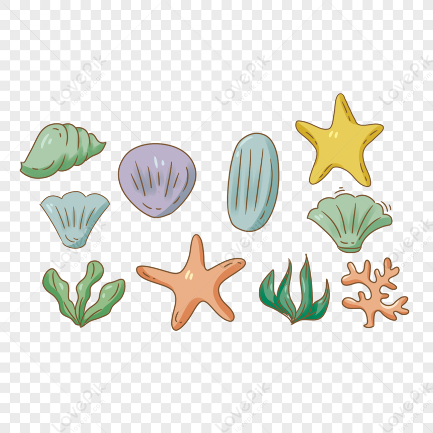 Sea Shell Decoration, Small Freshness, Simple, Sea Bottom Free PNG And