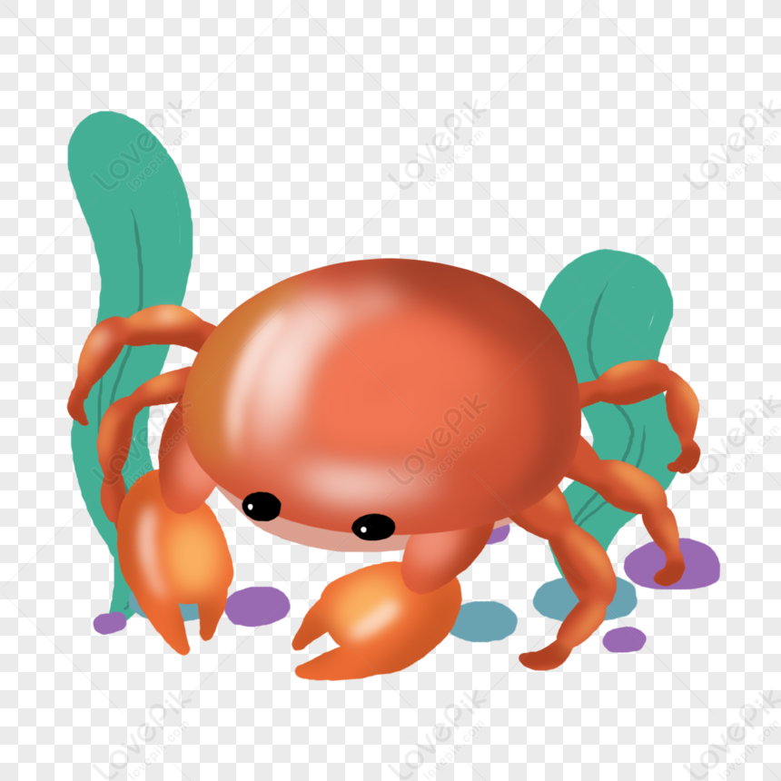 Seafood Crab Illustration PNG Transparent Background And Clipart Image ...