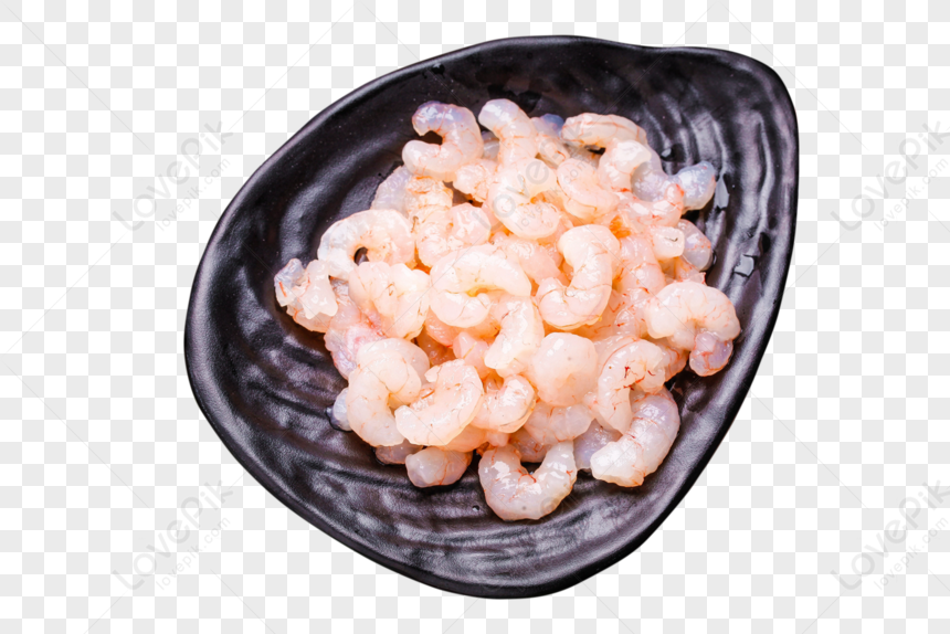cooked shrimp clipart border
