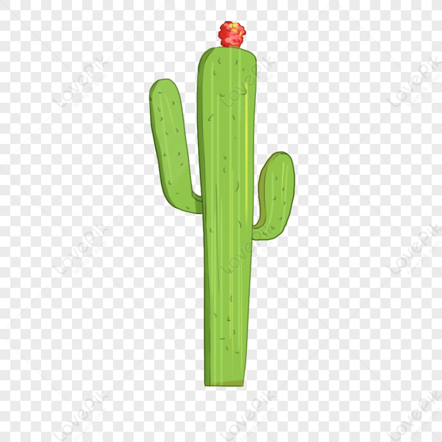 Strong Cactus PNG Transparent Background And Clipart Image For Free ...